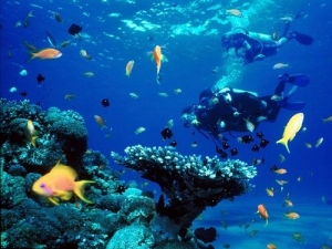 Scuba Diving in Puerto Vallarta David Pullen Properties_Las Marietas Islands
