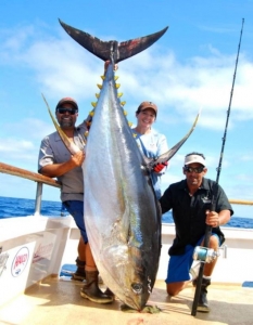 fishing in puerto vallarta_world record largest tuna